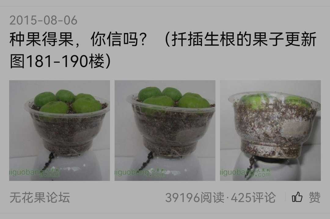 Screenshot_20230625_133551.jpg