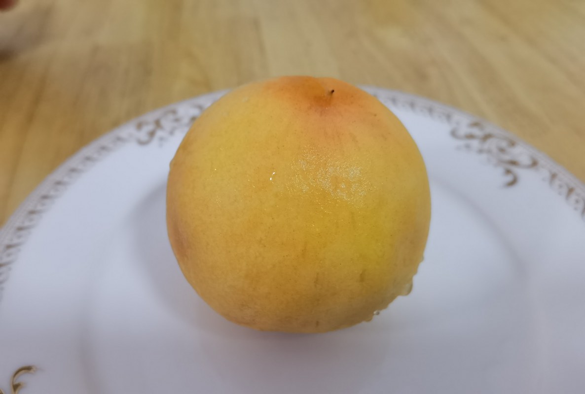 20230618.jpg