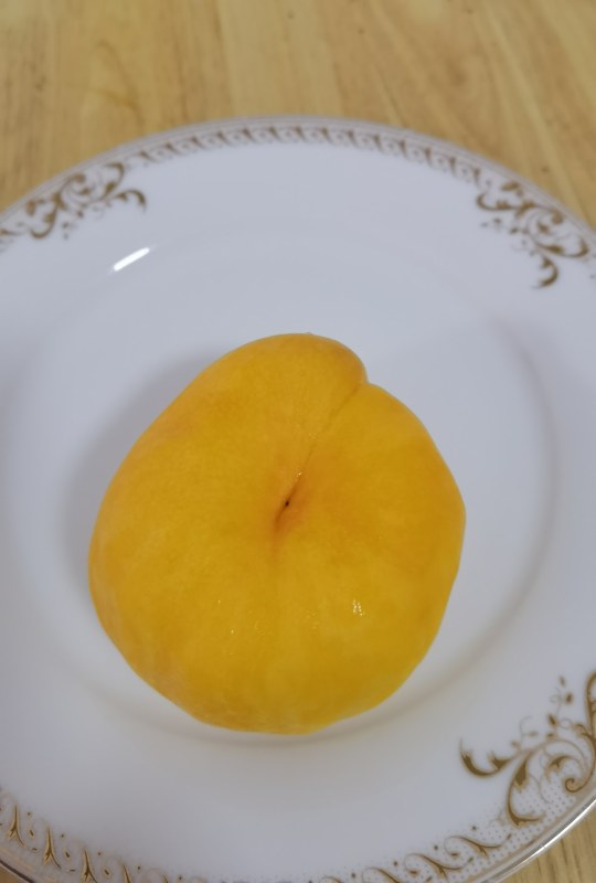 20230618101.jpg