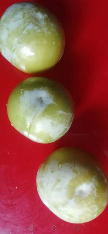 Screenshot_20230705_233839_com.android.gallery3d.jpg