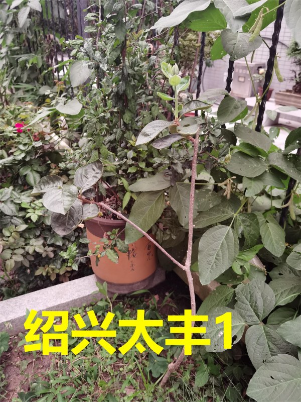 ΢ͼƬ_202307082313578.jpg