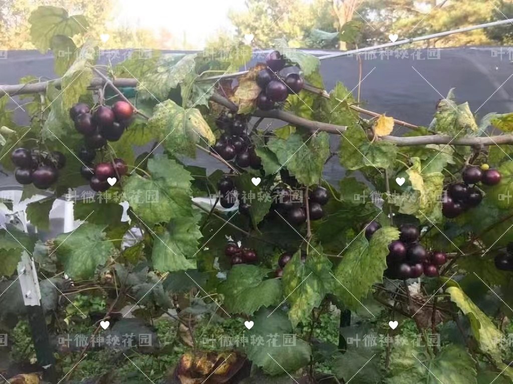 ΢ͼƬ_20230710100724.jpg