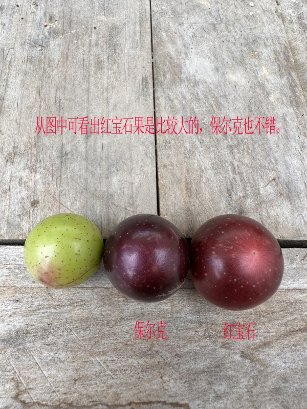 Ҷ2.jpg