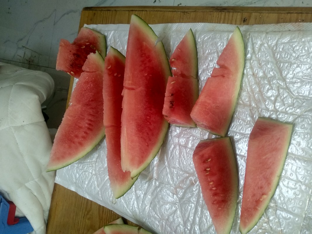IMG_20230727_113031.jpg