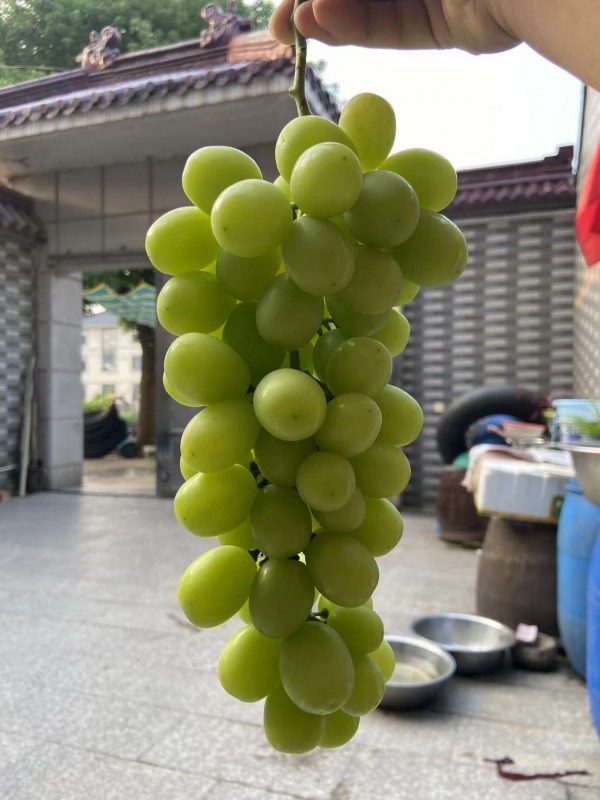 ΢ͼƬ_20230811084210.jpg