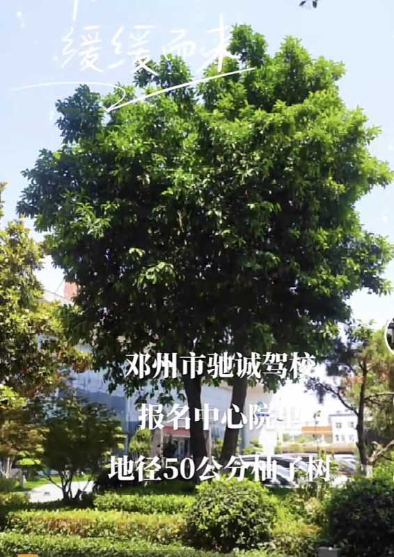 BA12AD9B-2976-4449-BA73-2DD1639C7288.jpeg