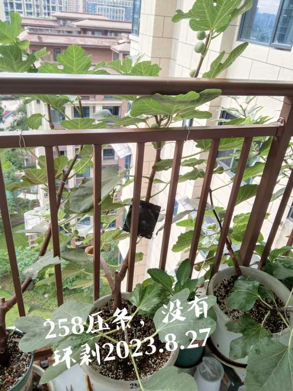 IMG_20230827_093746.jpg