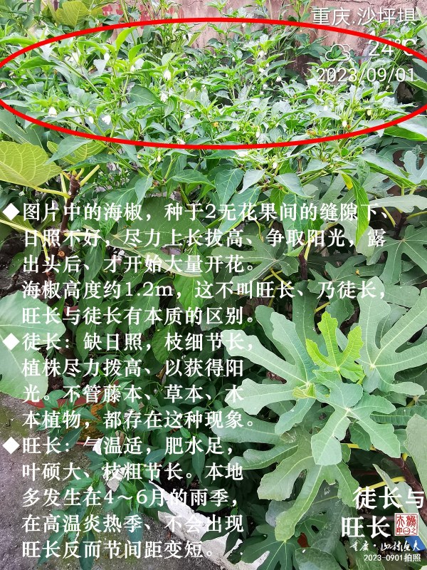 IMG_20230901_075537.jpg