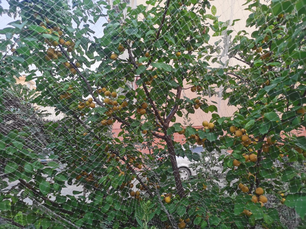 IMG_20230616_051325.jpg