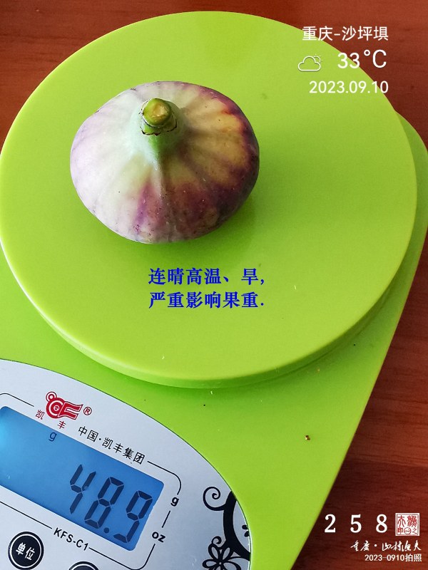 IMG_20230910_093709.jpg