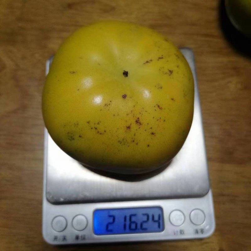 ΢ͼƬ_20230910170607.jpg