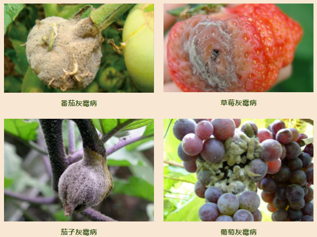 微信截图_20230911155110.png