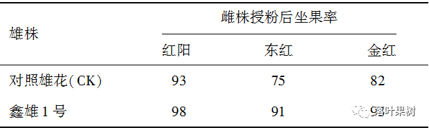 27.png