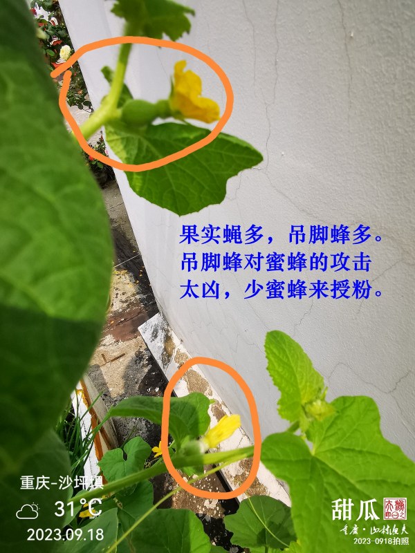 IMG_20230918_113134.jpg