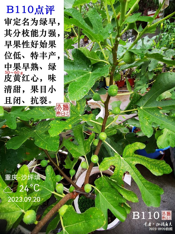IMG_20230920_085436.jpg