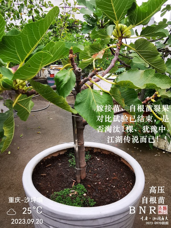 IMG_20230920_105904.jpg