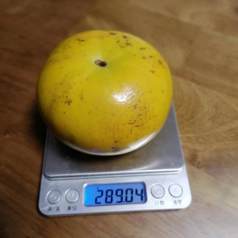 ΢ͼƬ_20230924191537.jpg