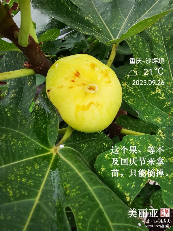IMG_20230926_111840.jpg