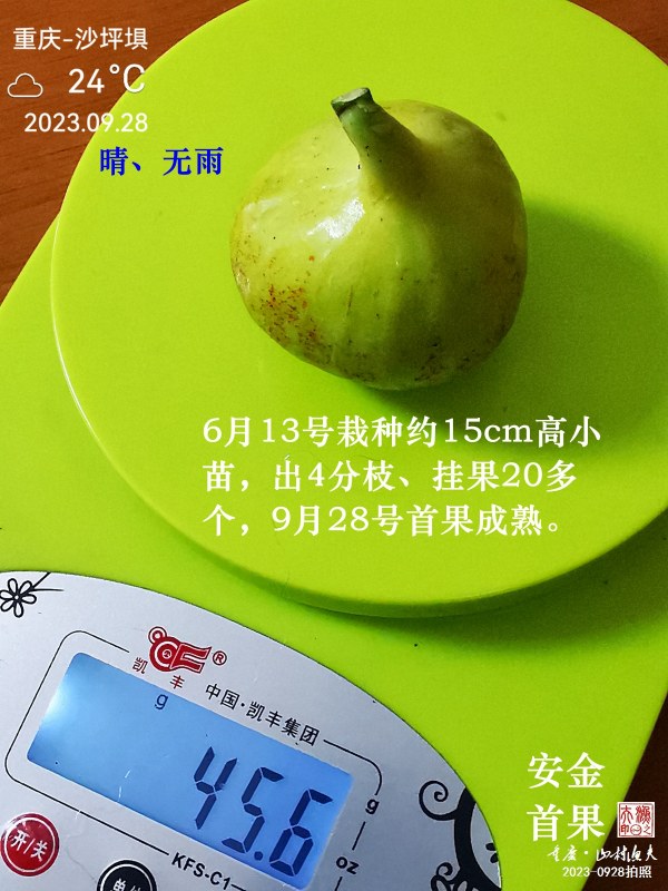 IMG_20230928_175306.jpg
