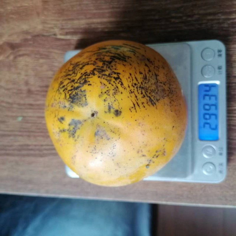 ΢ͼƬ_20230929151007-1.jpg