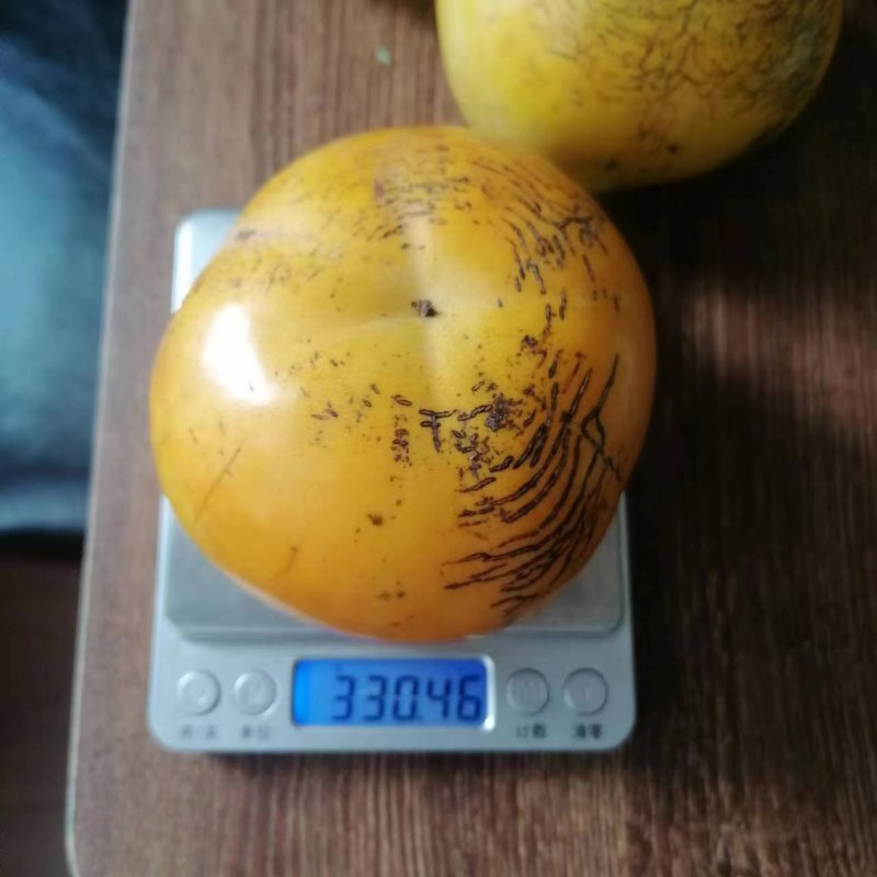 ΢ͼƬ_20230929151034-3.jpg