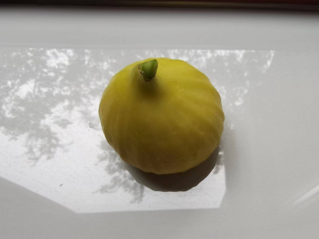 ΢ͼƬ_20231001105106.jpg