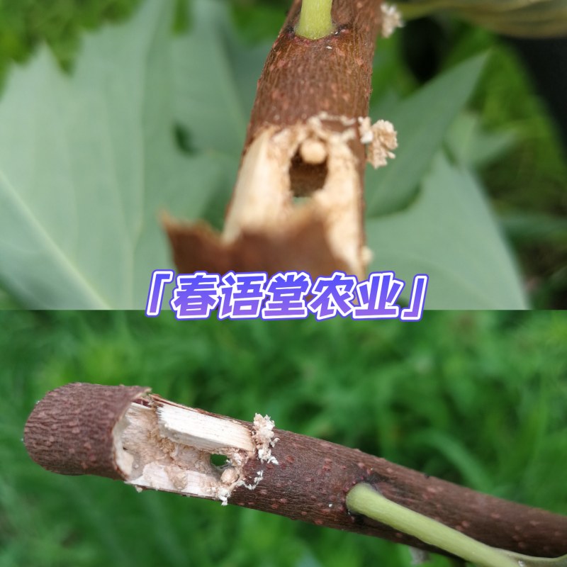 Weixin Image_20230924221032.jpg