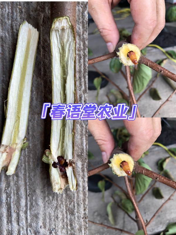 Weixin Image_20230924221136.jpg