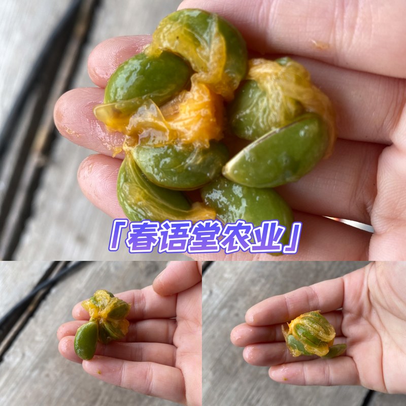 Weixin Image_20230924221125.jpg