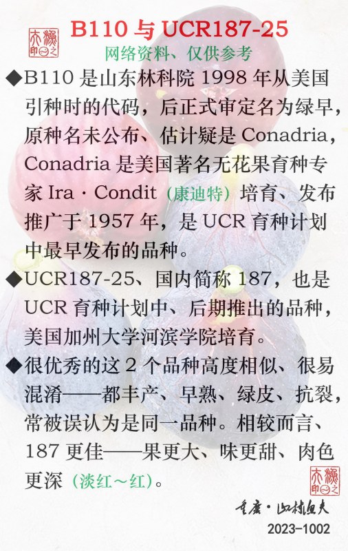 B110UCR187-25-G.jpg