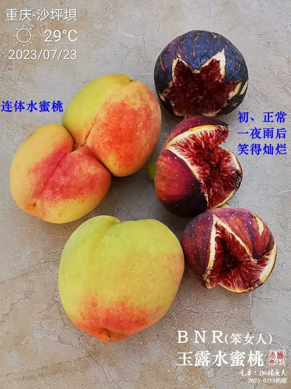 mmexport1696289769781.jpg