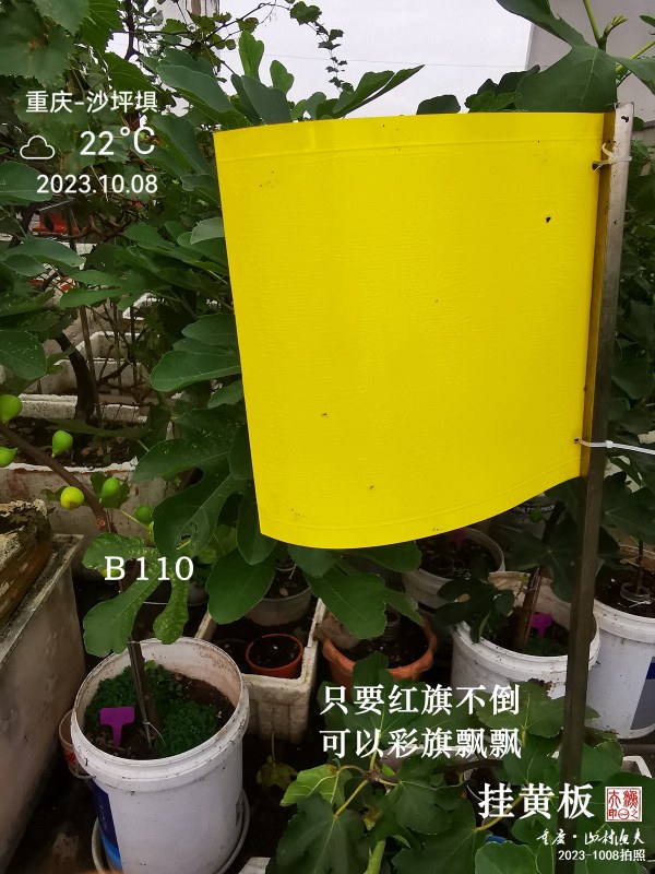 IMG_20231008_163939.jpg