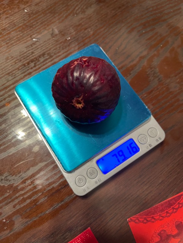 2023-8-22-2.jpg