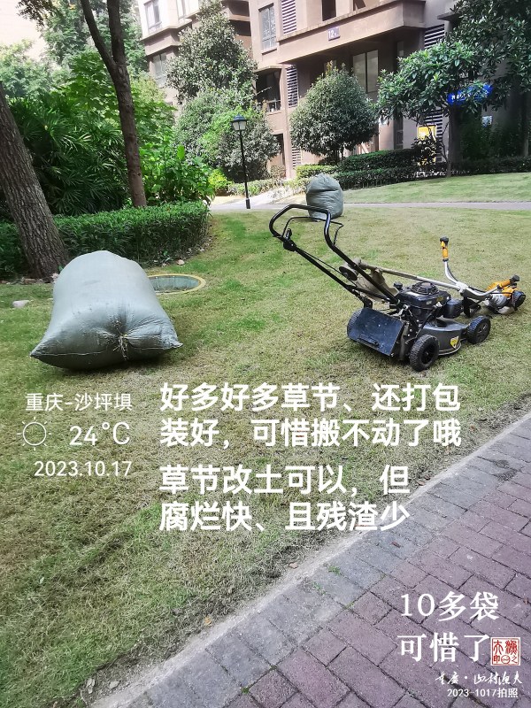 IMG_20231017_112158.jpg