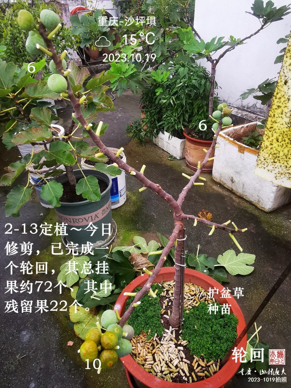 IMG_20231019_091924.jpg