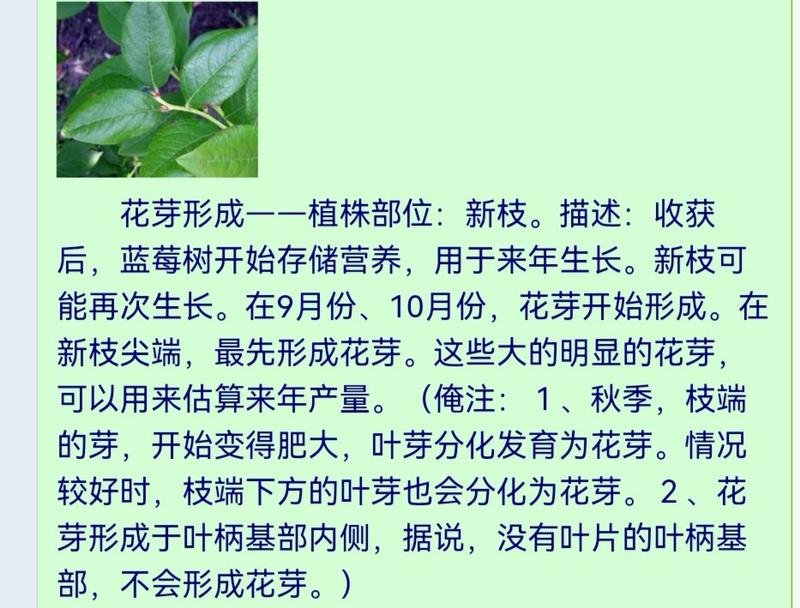 Screenshot_20231020_110224.jpg
