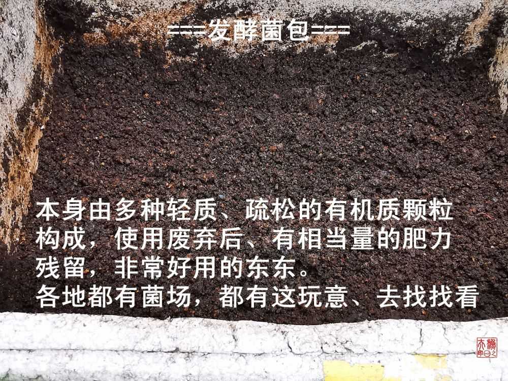 1697772904050.jpg