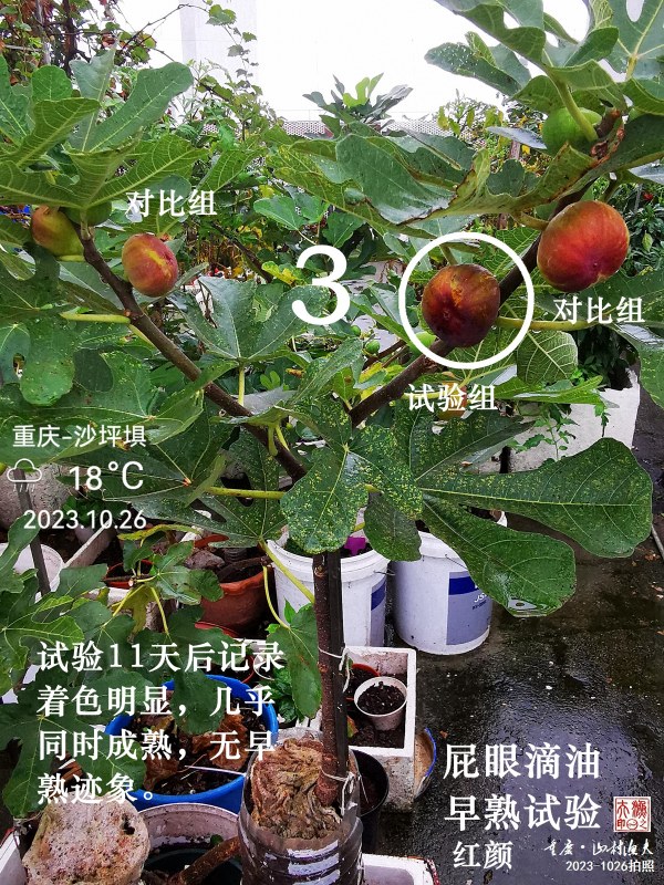 IMG_20231026_085718.jpg