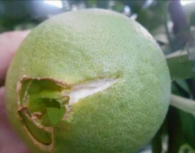 174.png
