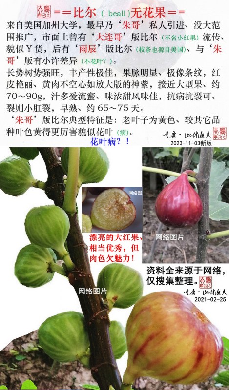 ȶ޻.jpg