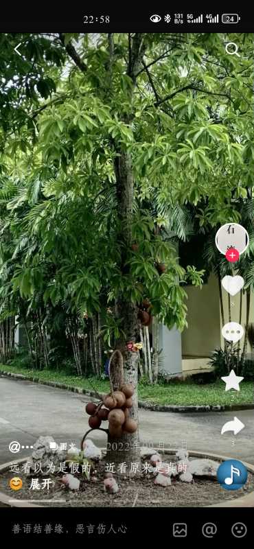 Screenshot_20231107_225845_com.ss.android.ugc.aweme.jpg