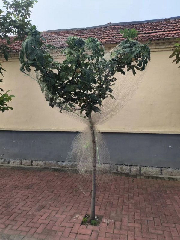 ΢ͼƬ_20231108234249.jpg