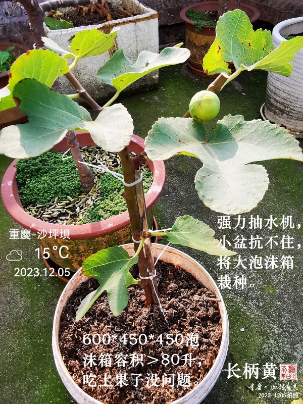 IMG_20231205_103559.jpg