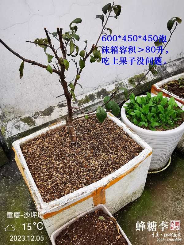 1701820051507.jpg
