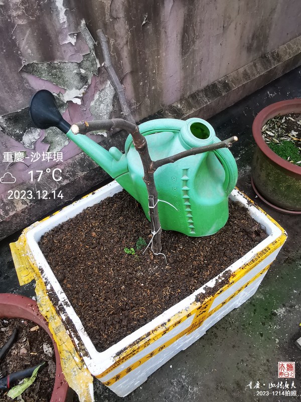 IMG_20231214_161711.jpg