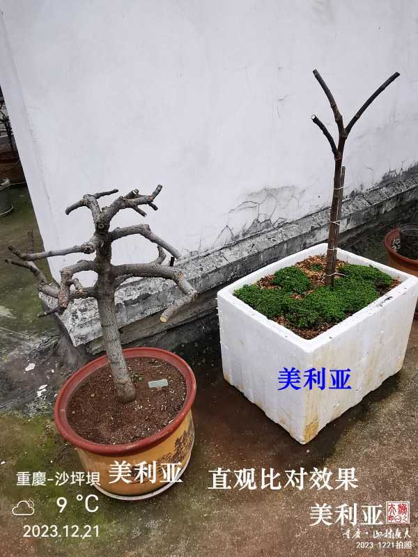1703487298496.jpg