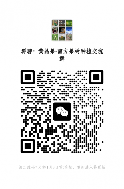mmqrcode1703609581700.png