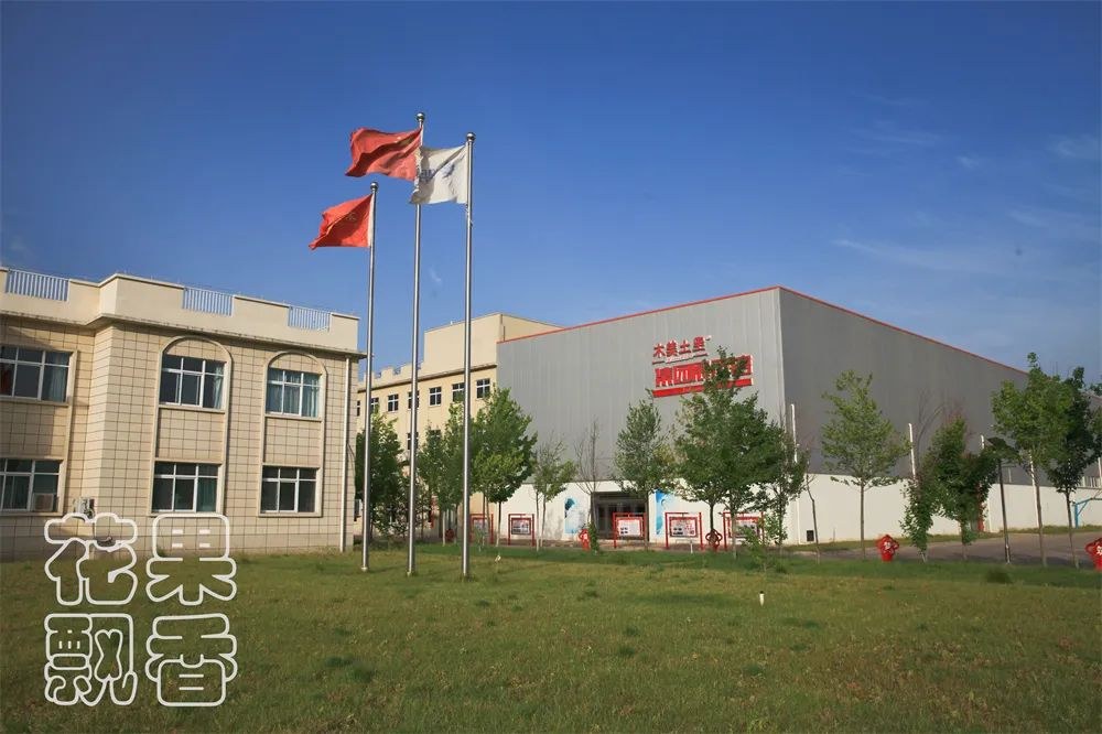86.jpg