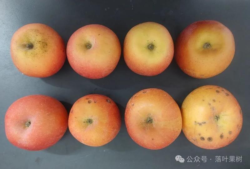 53.jpg