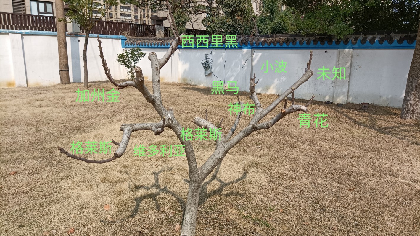 ΢ͼƬ_20240316201302.jpg